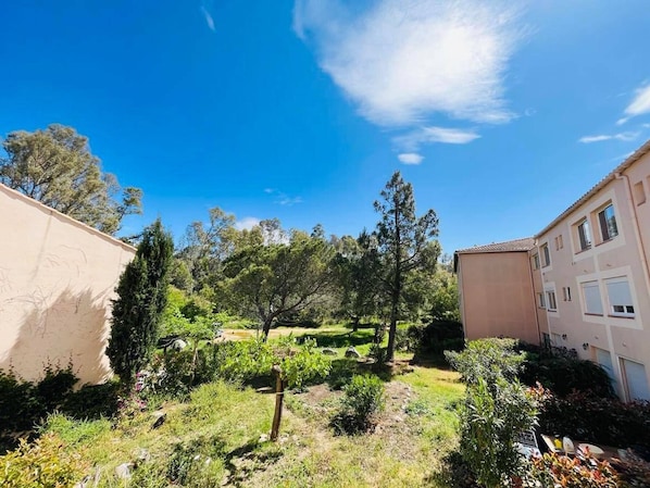 Property grounds - Cozy 4-Person Studio in Calvi, Steps from Beach, Parking Included (Calvi)