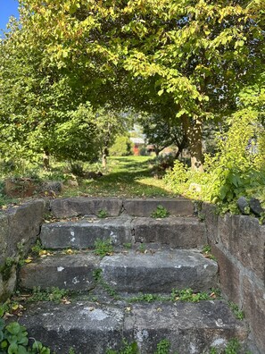 المنطقة المحيطة بالمنشأة