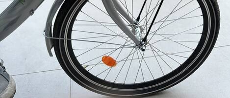 Una bicicleta con una cesta que contiene un perro esponjoso.