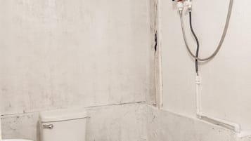 Shower, bidet, towels, toilet paper