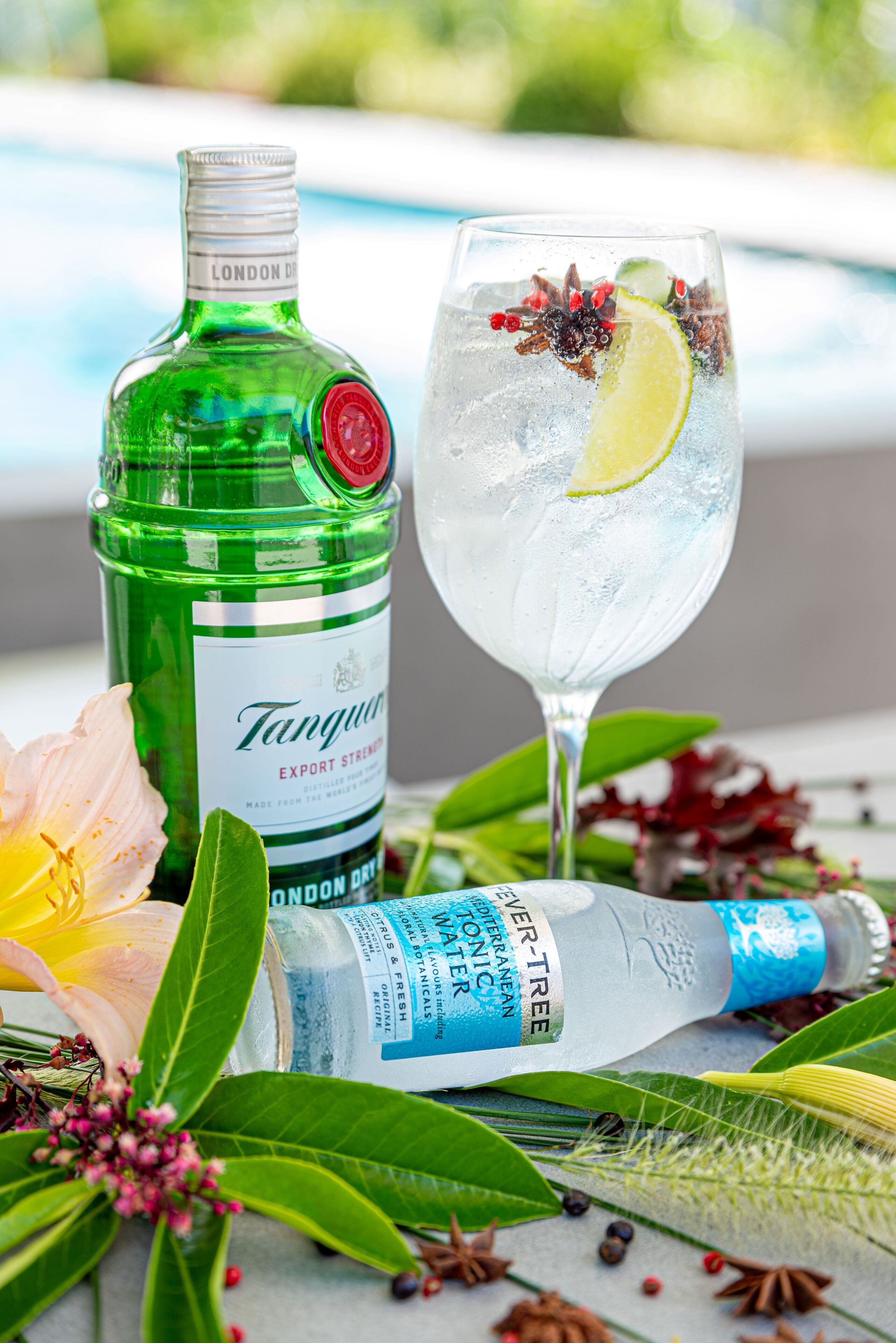 A bottle of Tanqueray gin and a glass of gin and tonic with a lime slice and star anise garnish.