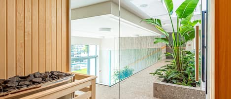 Un interior moderno con un banco de madera, un separador de vidrio y una planta en maceta.