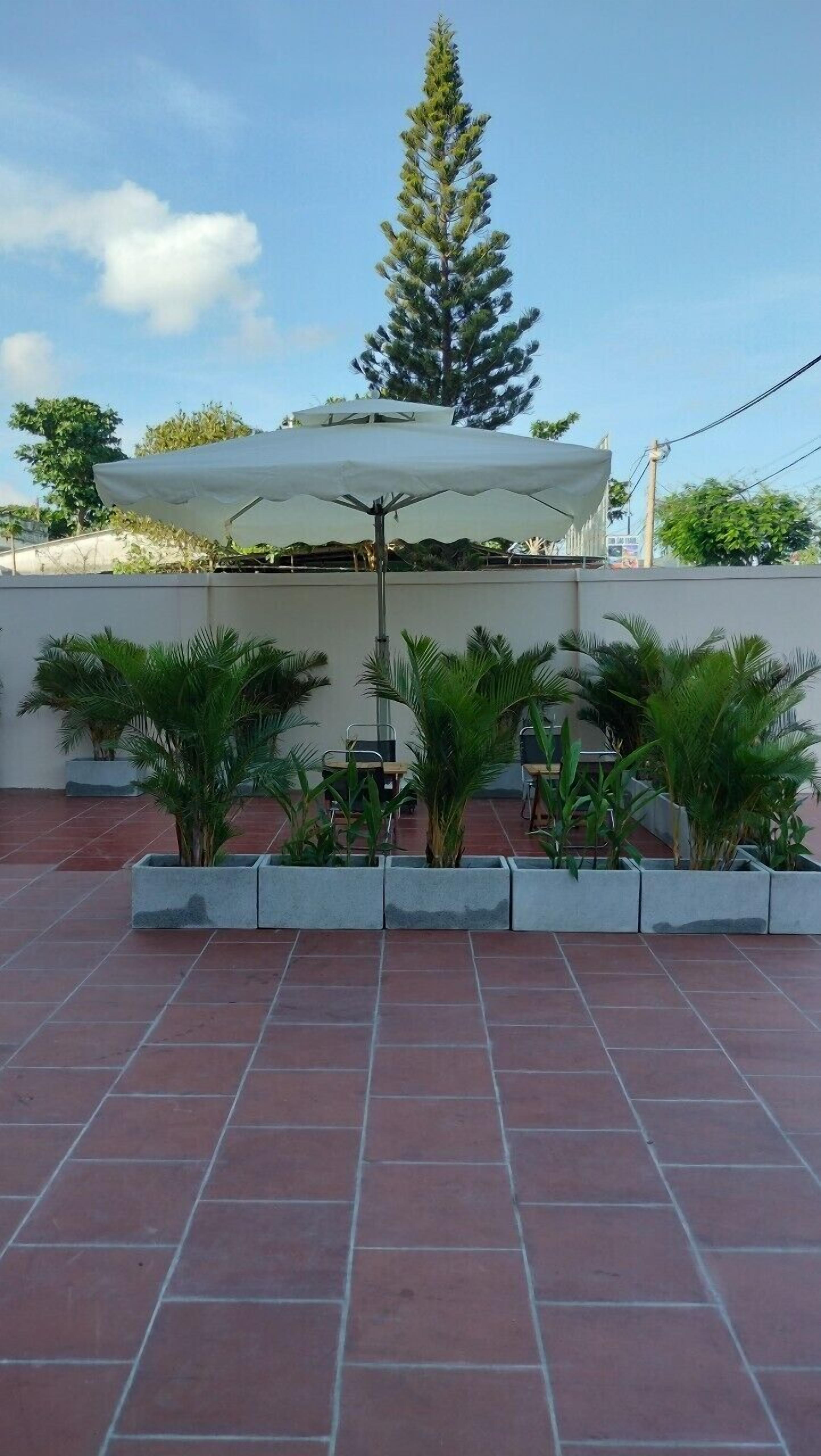 Un patio con suelo de baldosas, una sombrilla blanca y varias macetas con plantas.