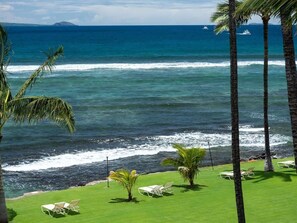 On the beach - Vibrant Oceanfront Condo: Extraordinary View, Pool (Wailuku)