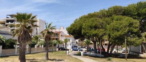 A coastal walkway with palm trees, a wooden boardwalk, and parked cars.