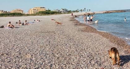 Pensión Benavente. 1 - (Playa 1,5km / AP7-3min)