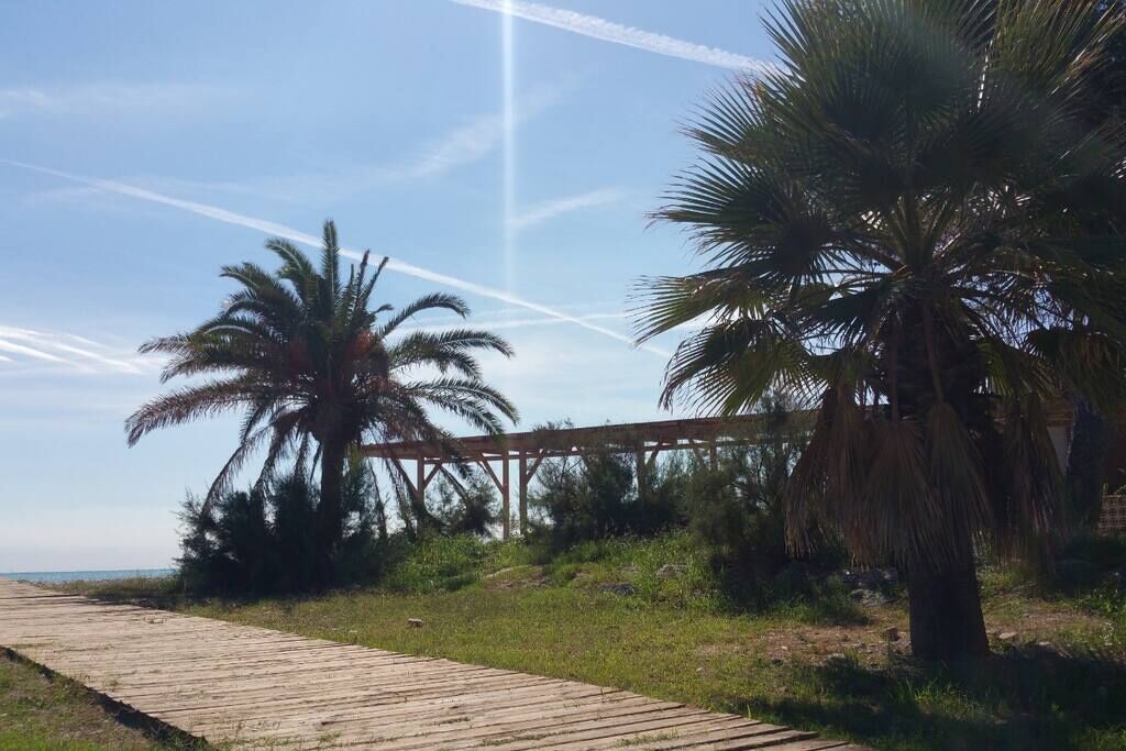 En træpromenade der fører til en strand med palmer og en trækonstruktion.
