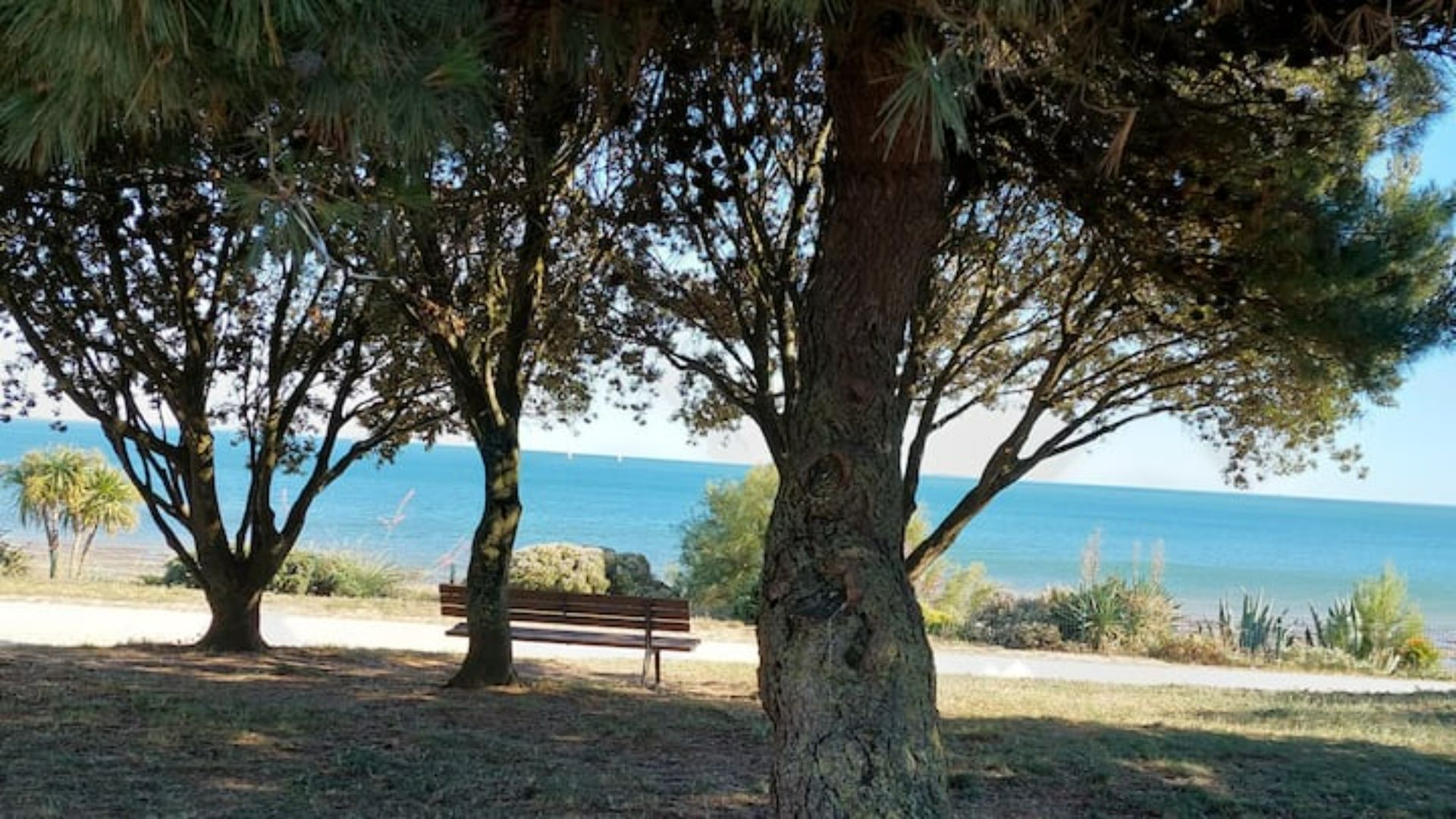 A park with a bench and trees overlooking a body of water.