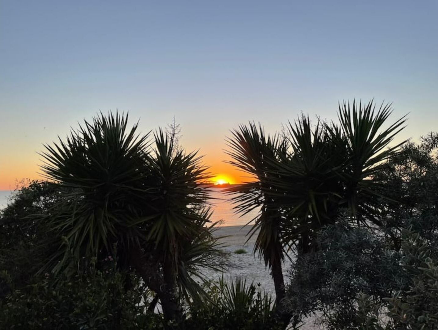 A sunset view with palm trees in the foreground.