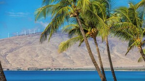 A coastal scene with palm trees, a clear blue sea, and wind turbines in the background.