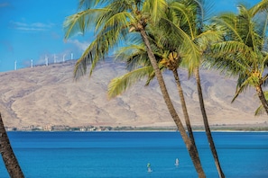 A coastal scene with palm trees, a clear blue sea, and wind turbines in the background. - Breathtaking Pool & Ocean Views! - Updated Corner Unit -Sugar Beach #412 (Kihei, Maui)