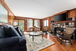 TV, fireplace, books, video library