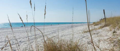 Nära stranden