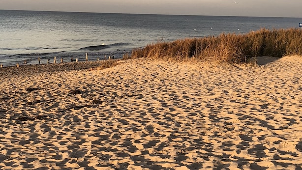 Uma praia arenosa com uma duna gramada em primeiro plano e o oceano ao fundo.