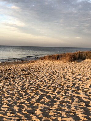 Plage, chaises longues