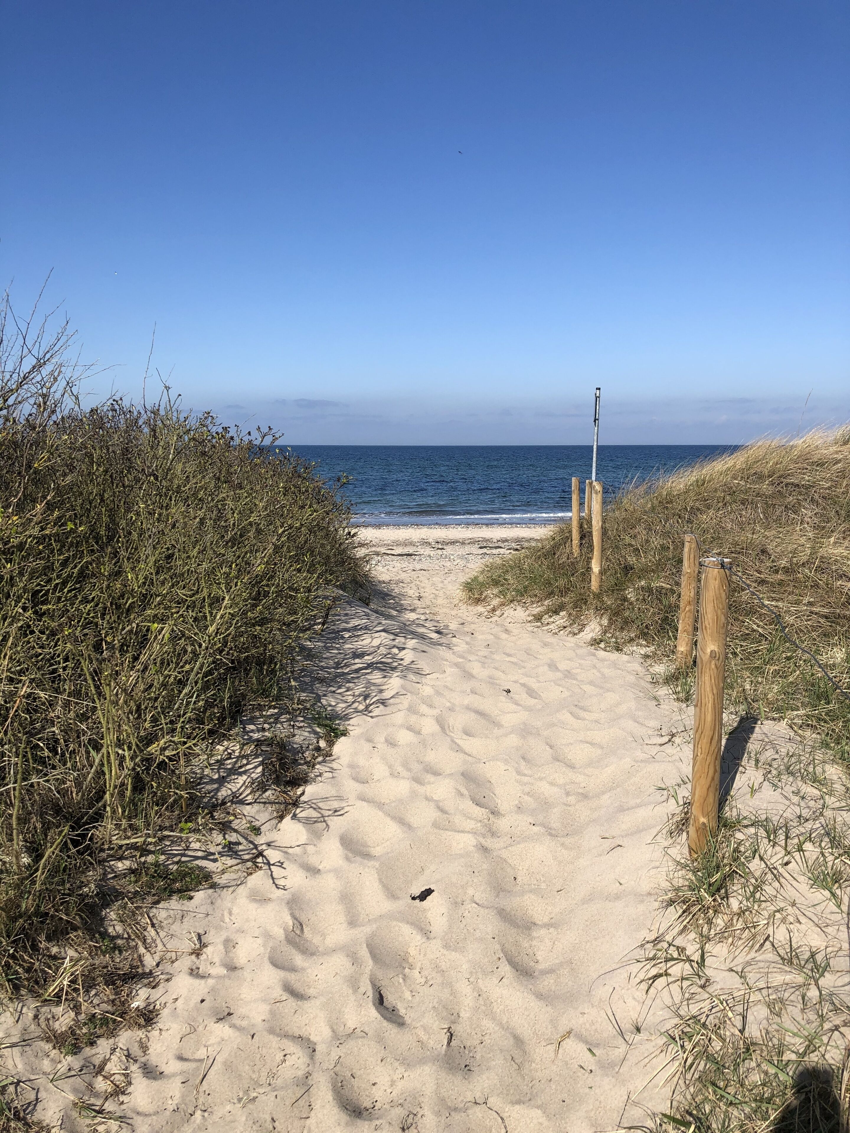 Rannalla, aurinkotuoleja