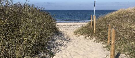 ビーチ、サンラウンジャー