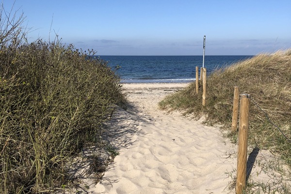 Ubicación a pie de playa y tumbonas