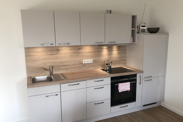 Kühlschrank, Ofen, Herdplatte, Geschirrspüler