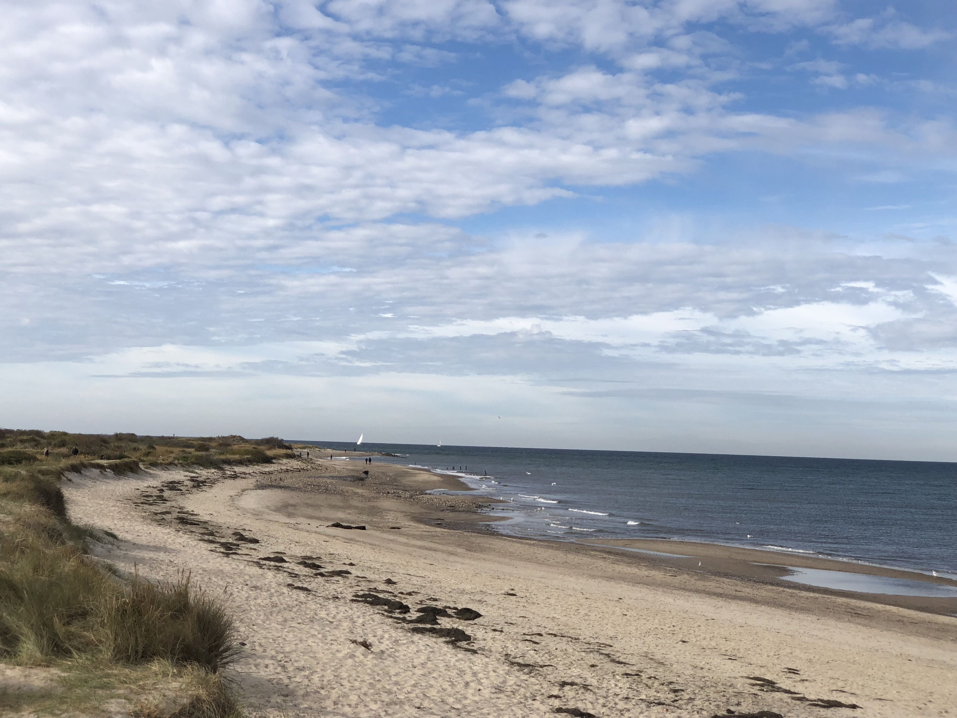 On the beach, sun-loungers