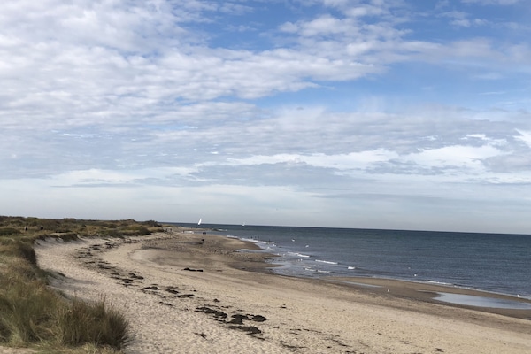 On the beach, sun-loungers