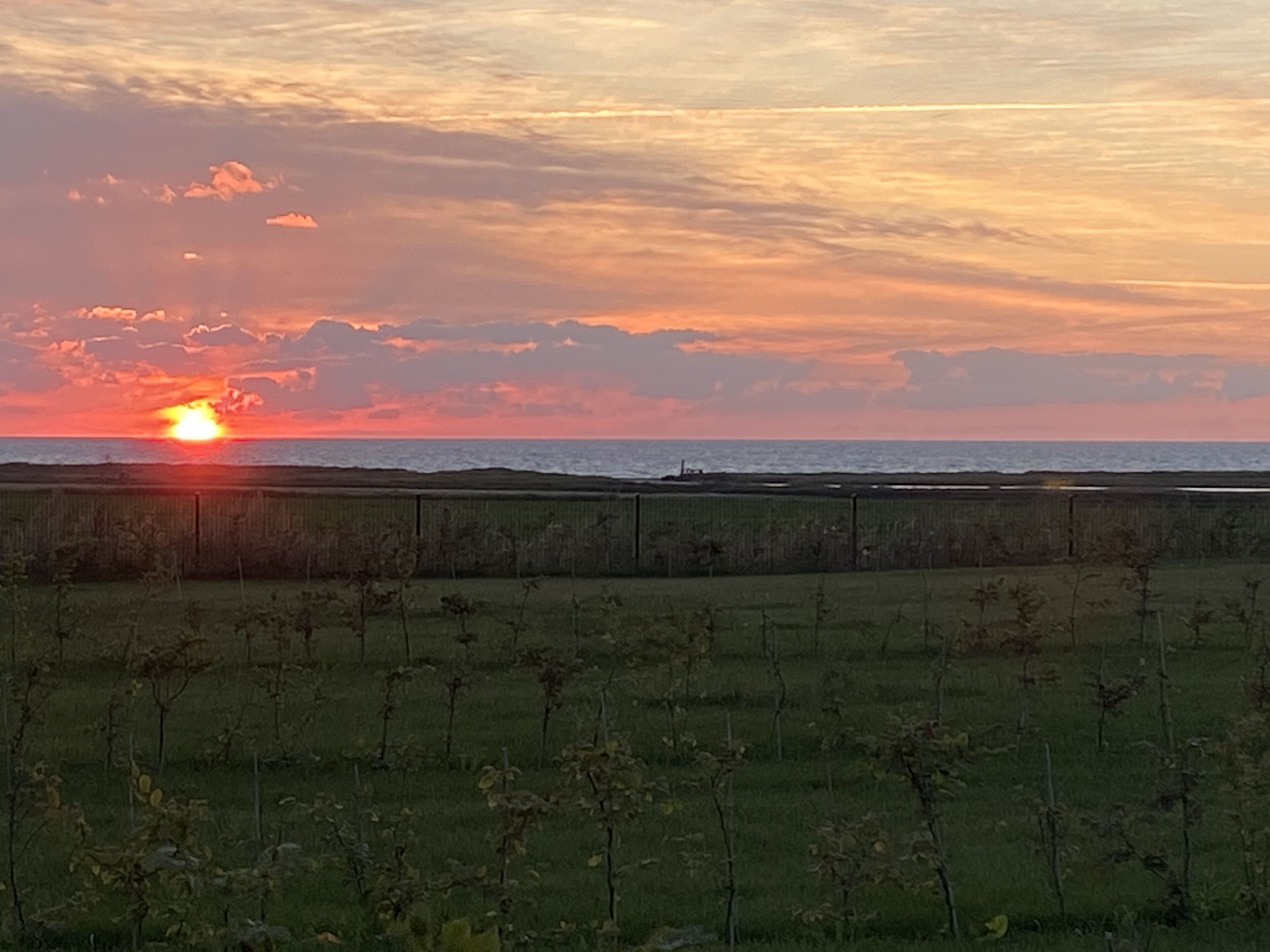 Sonnenuntergang über der Ostsee (von der Terrasse)