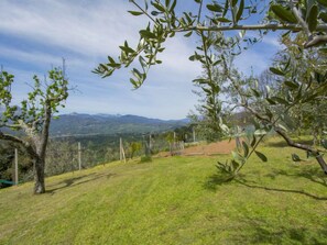 Property grounds - delle Stelle by Interhome (Bagni di Lucca)