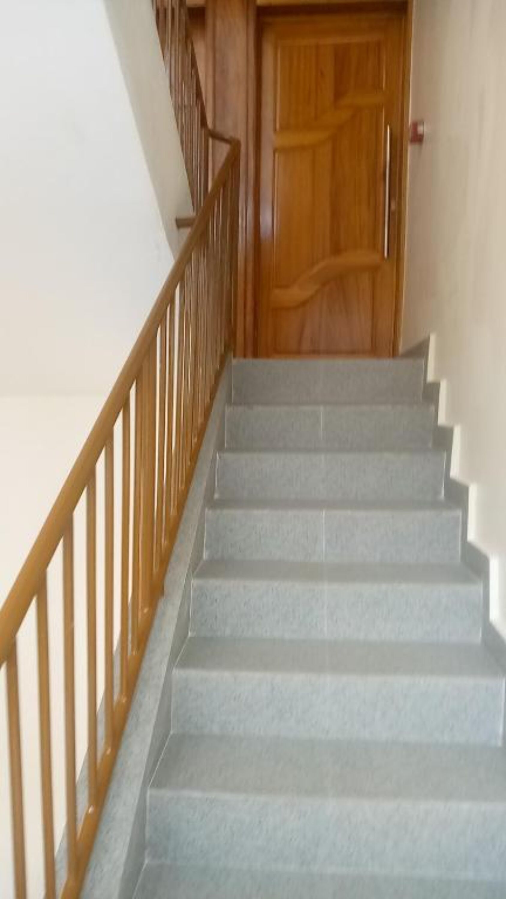 A staircase with a wooden handrail and a closed wooden door at the top.