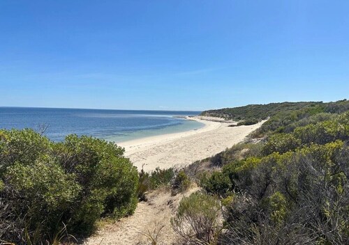 Pukeko - Short walk to beach. Off peak special!