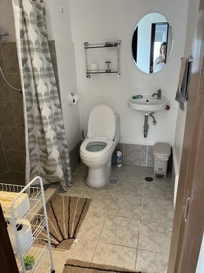 Shower, hair dryer, towels, soap