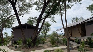 Un espace extérieur moderne, doté d’un chemin sinueux bordé d’arbres et de plantes, qui mène à un bâtiment au toit plat et aux grandes fenêtres.