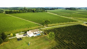 An aerial view of a vineyard with rows of grapevines, a house with a swimming pool, and a small playground.