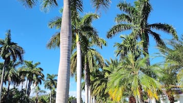 House, 3 Bedrooms | Property grounds