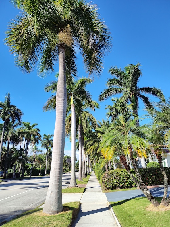 Property grounds - Miabella Of Hollywood 3 Bedroom Home by RedAwning (Hollywood)