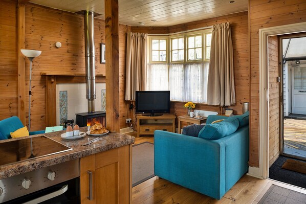 TV, fireplace - Toll Bridge Cottage (Dolgellau)