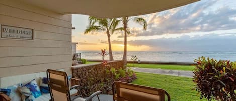 テラス / パティオ