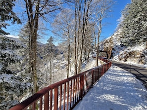 A snow-covered pathway with a metal railing, surrounded by trees and a clear blue sky.