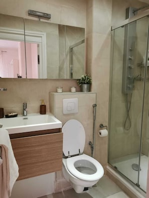 Shower, hair dryer, towels, soap