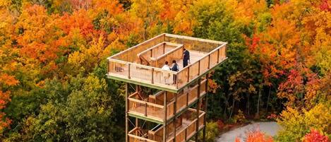 A multi-level wooden structure with a viewing platform, surrounded by autumn foliage.