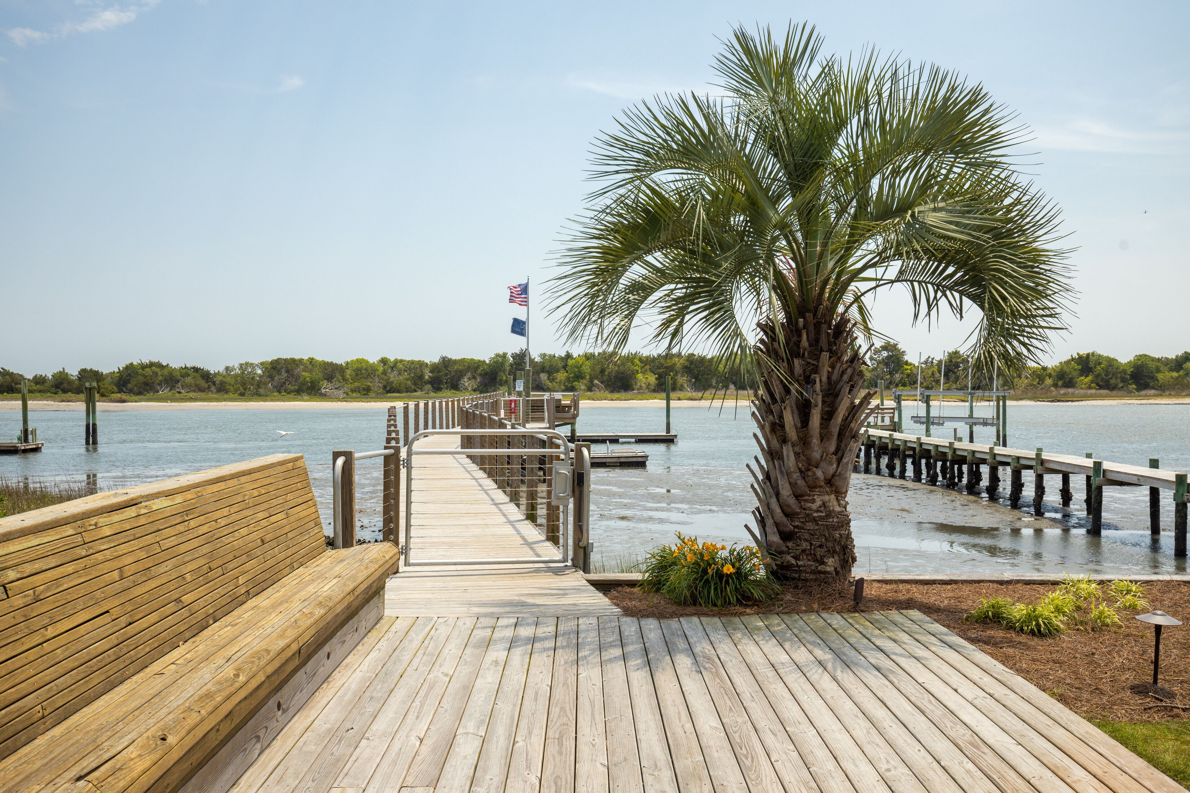 A wooden pier leading to a dock with a palm tree and a bench.