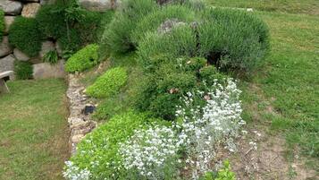 Jardines del alojamiento