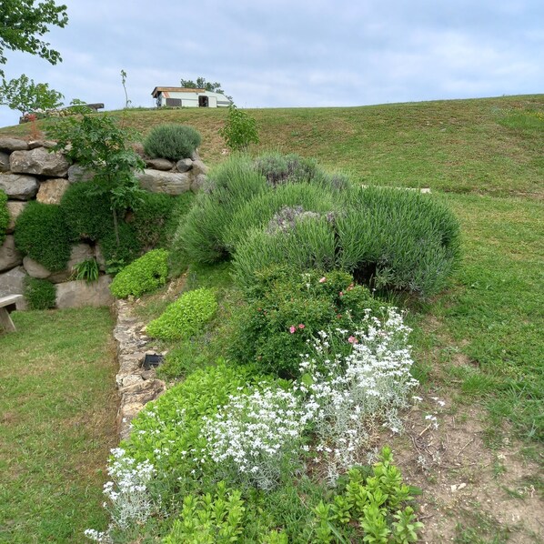 Terrein van de accommodatie