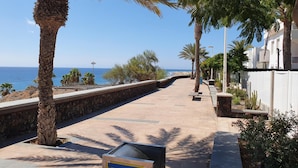 Un paseo marítimo bordeado de palmeras y un muro de piedra, que conduce a una playa.