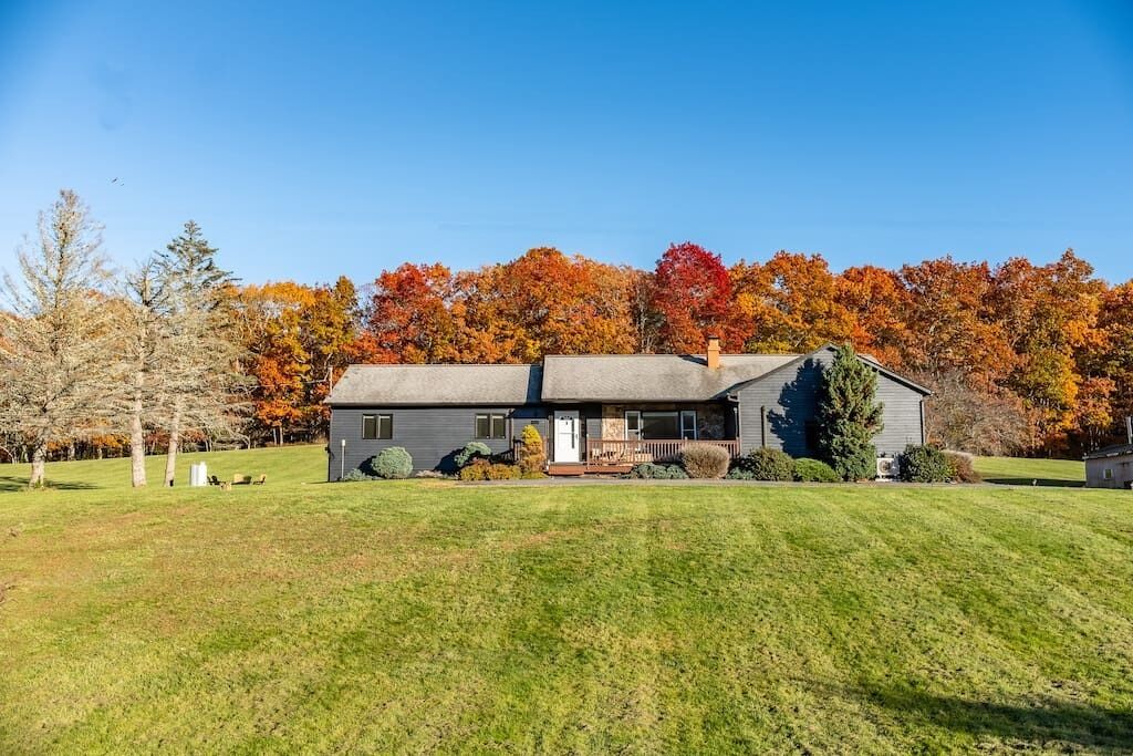 Midnight Meadow - Bright & Airy Cabin in Callicoon