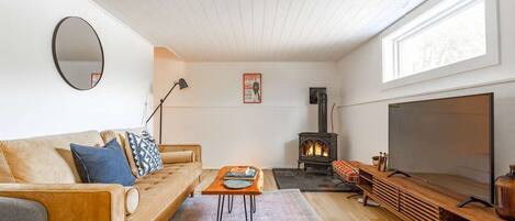 TV, fireplace, computer monitors