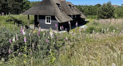 Tureluur ist ein schönes Haus im Dünengebiet zwischen Nes und Buren mit Sauna.