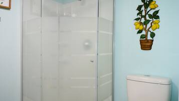 Een badkamer met een douche met glazen wand, een toilet en een in pot groeiende plant aan de muur.