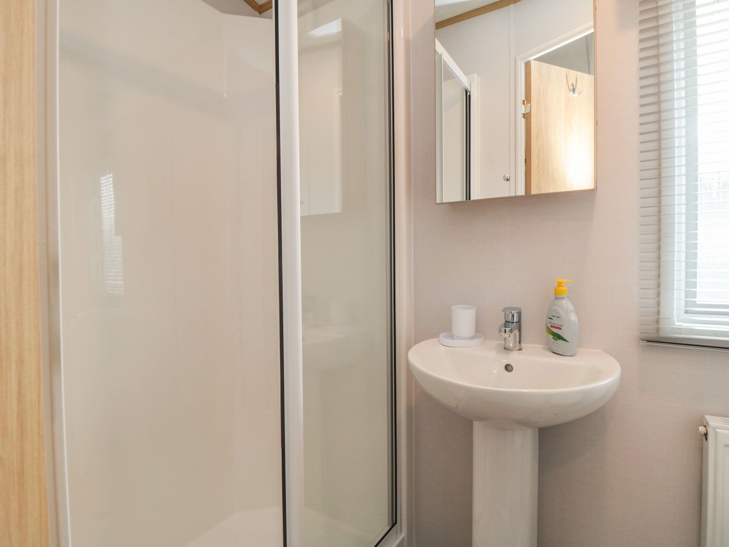 A bathroom with a glass shower enclosure, a white sink, and a mirror above it.