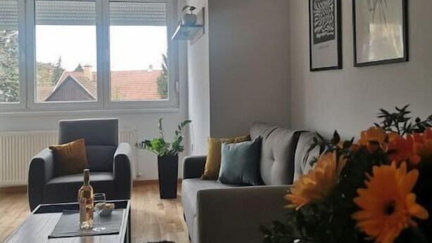 En moderne stue med en grå sofa, et sofabord og en plante. To vinduer med persienner, en hængende lampe og et billede i ramme på væggen.