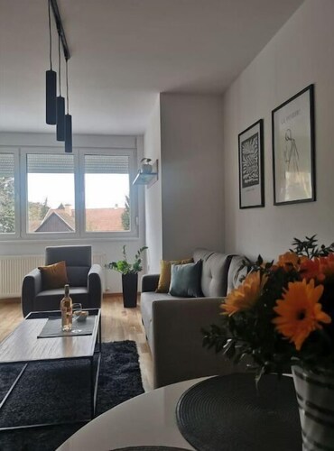 Cozy two-room apartment in the heart of Subotica
